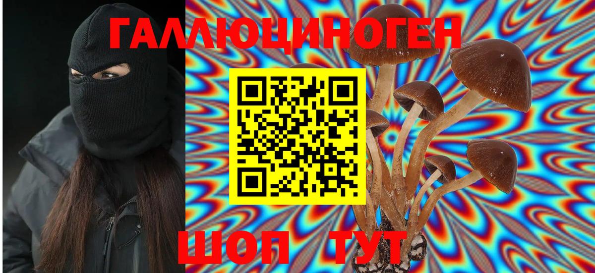 Псилоцибиновые грибы Psilocybe  Вход с VPN  Псилоцибиновые грибы Psilocybine cubensis  Зеленодольск 